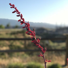 A New Year, A New Day