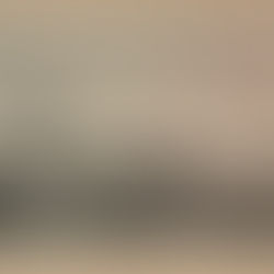 The Treat Family and the Pitminster Church, England