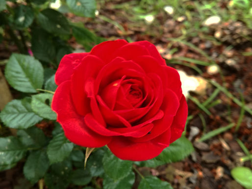 Sentir faz parte e merecemos