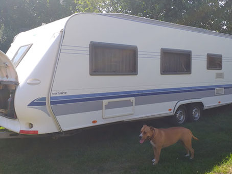 První víkend s naším Bobíkem: Nevzali jsme Mohykánovi lovné pruty a majitel kempu měl Alzheimera