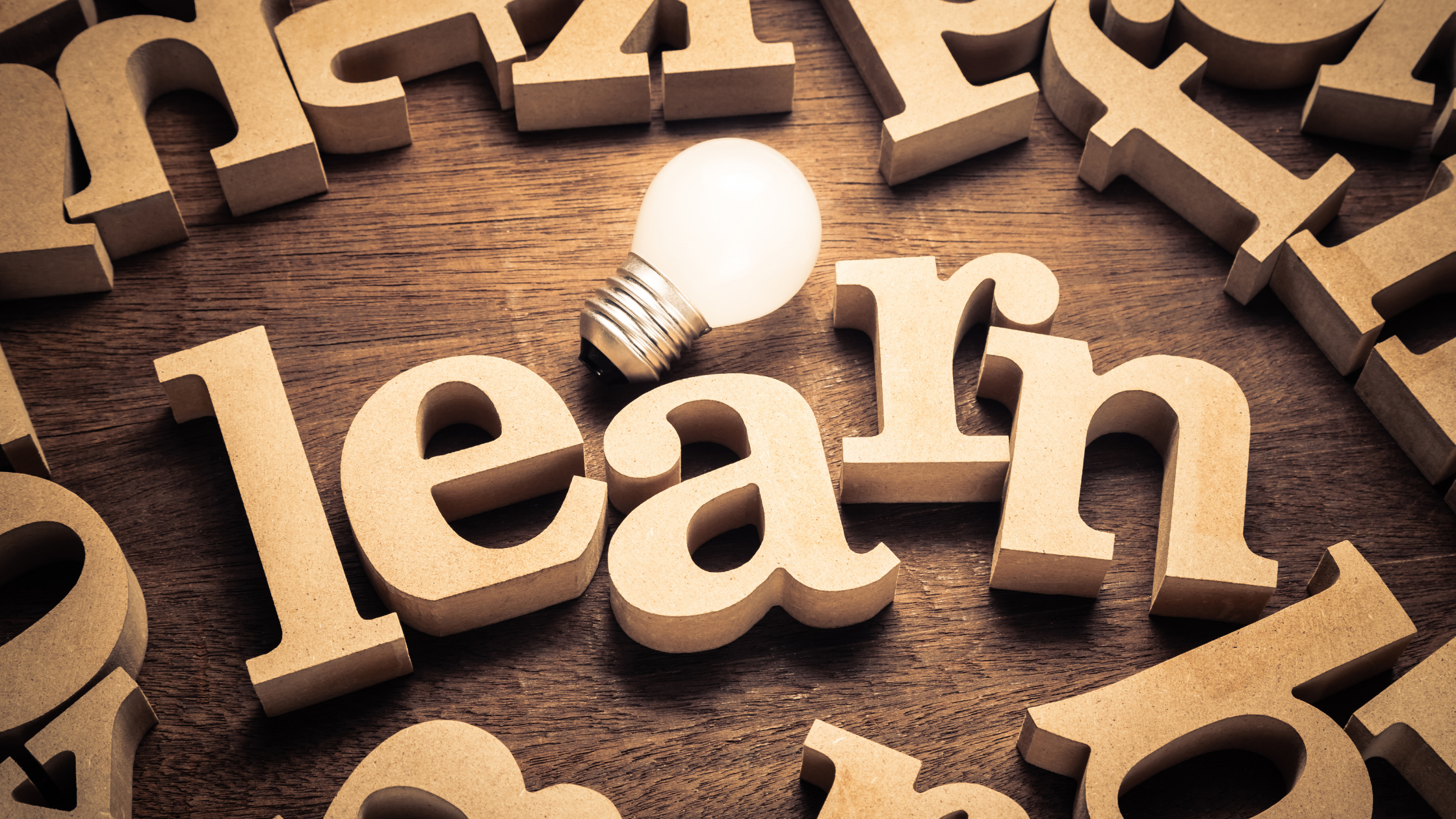 What Did You Learn? content media