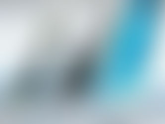 Vendée Globe - édition 2020