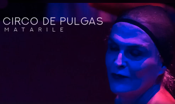 Circo de Pulgas, en la foto Celeste