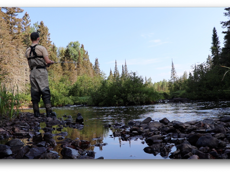 North Woods Exploration - River Brook Trout