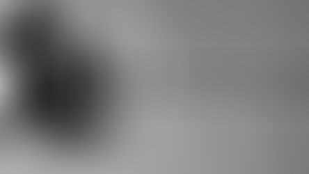 על תרומת ביצית ורקבון הדת האורתודוקסית