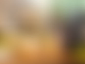 10 Essentials for your At-Home Bar