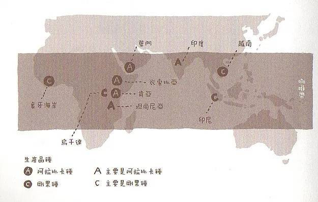 【咖啡小知識】第3回: 咖啡主要栽種在哪些國家、地區?