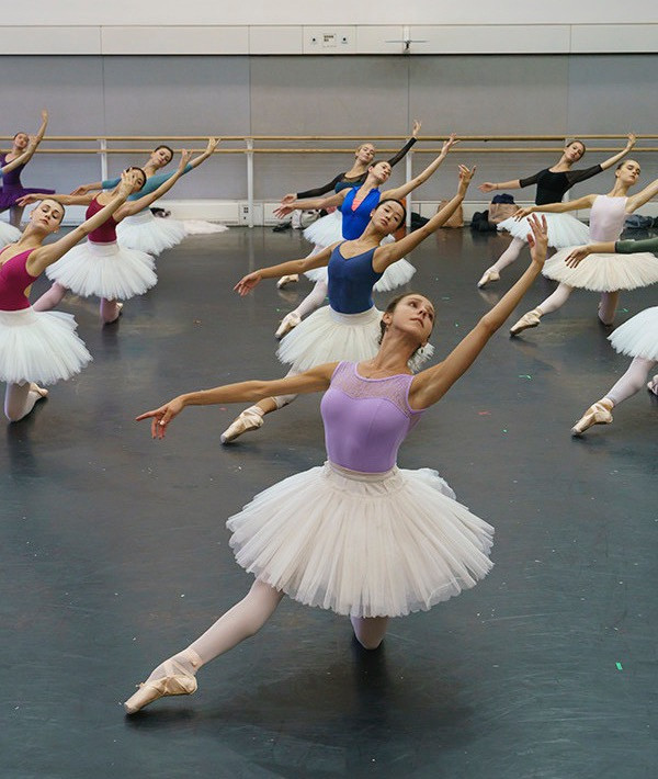 Artists of the Royal Ballet