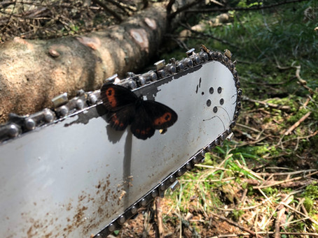 Natur und Technik