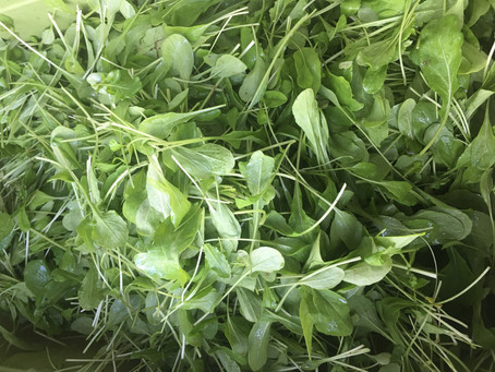 The perfect arugula dressing