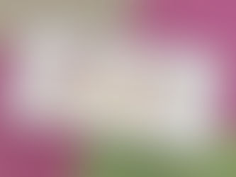 くっついた!でお勉強♪♡︎ʾʾ