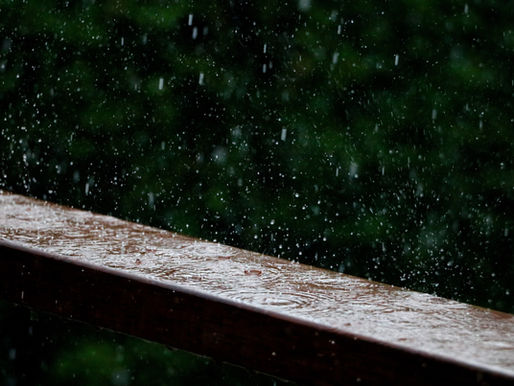 Ayurveda for the monsoon. Karkidaka Month.