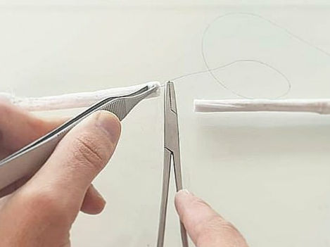 Tendon Repair Training Tutorials
