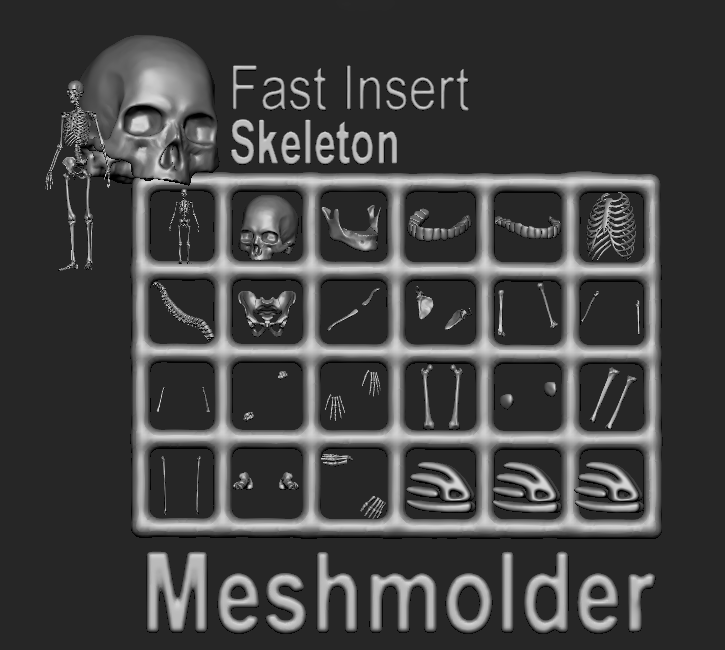 Fast Insert Packs Release for Meshmolder 2022 Professional
content media