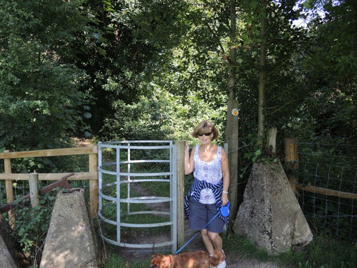 Margaretting Tye Walk