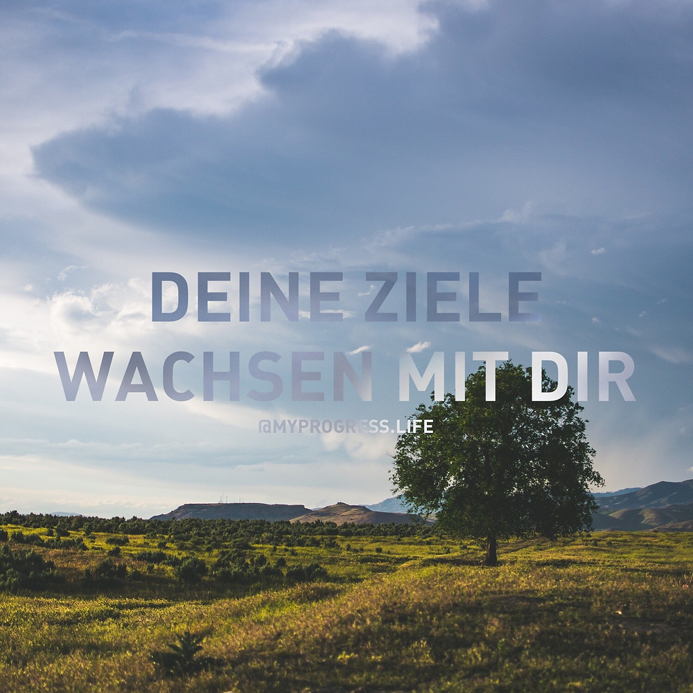 Wiese mit Baum