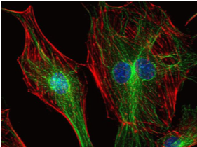 Play with light like a lego