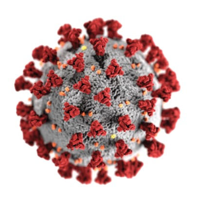 Addressing the Rumours (Coronavirus/COVID-19)