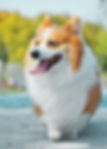 ree