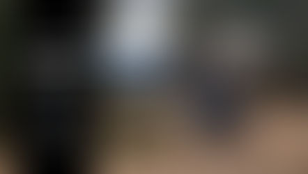 Barkbusters 'BLITZ' #4 - Wisemans Ferry