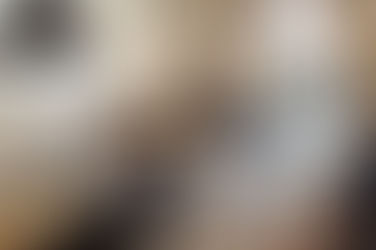 StreamlineHR Monthly HR News