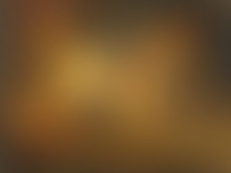 la révolution française et l'empire : un nouvel ordre politique