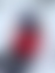 "Que eu possa ajudar nosso País com a educação e liberdade de pensamento que vi no Canadá"