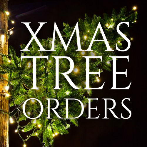 Xmas Tree Orders tealby