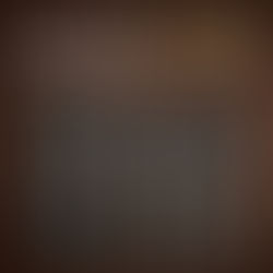 LOREAL PROFESSIONAL TOUCH UP