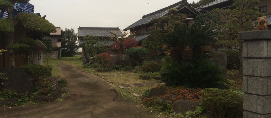 吉沼の自然　後編