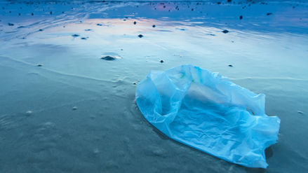 Journey to Zero Waste