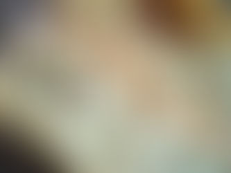 Ciabatta de larga fermentación