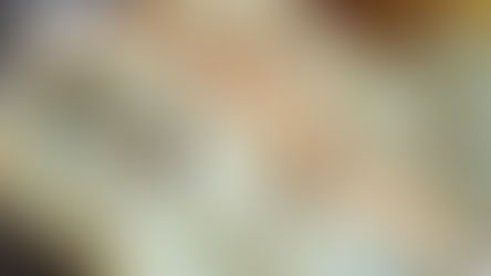 Ciabatta de larga fermentación