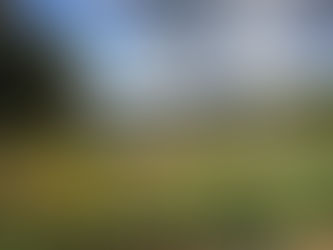 Wir kooperieren mit der Schweiz