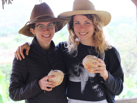 Viñales: Antonio Bandera 