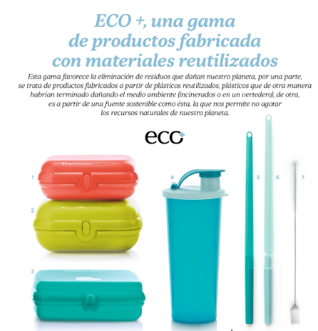 Sandwicheras y ecobotellas para el desayunos content media