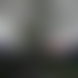 Your Embodied Garden - Olafur Eliasson