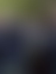 Pitt comes together to honor Tree of Life victims and stress love over hate