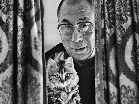 what compassion does to the brain