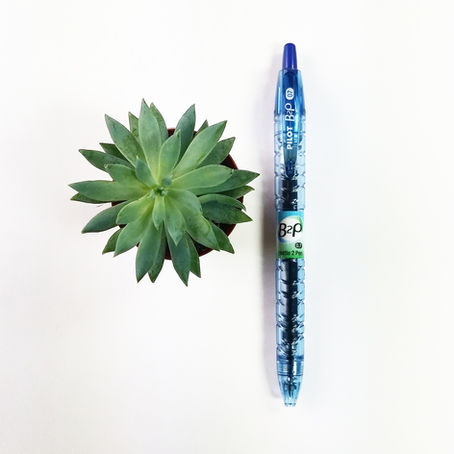Review | Pilot B2P