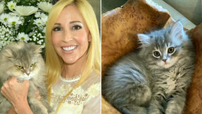 Pareja paga 25 mil dólares para clonar a su gatita