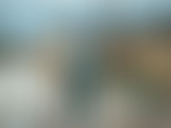 Il vizio della speranza (2018)