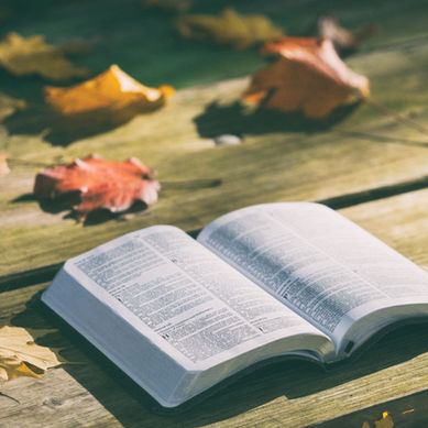 Prison Ministry Opportunities through Set Free Ministries