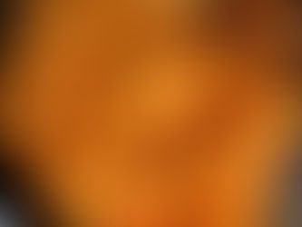 Creamy Tomato and Mozzarella Pasta