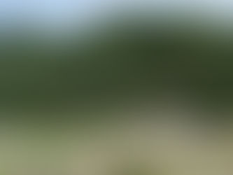 [포토뉴스]담양군 용마루길에 만발한 코스모스