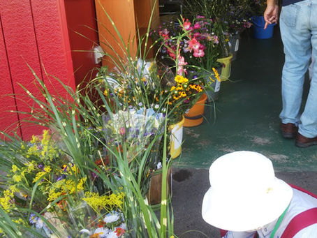 お花市開催しました!