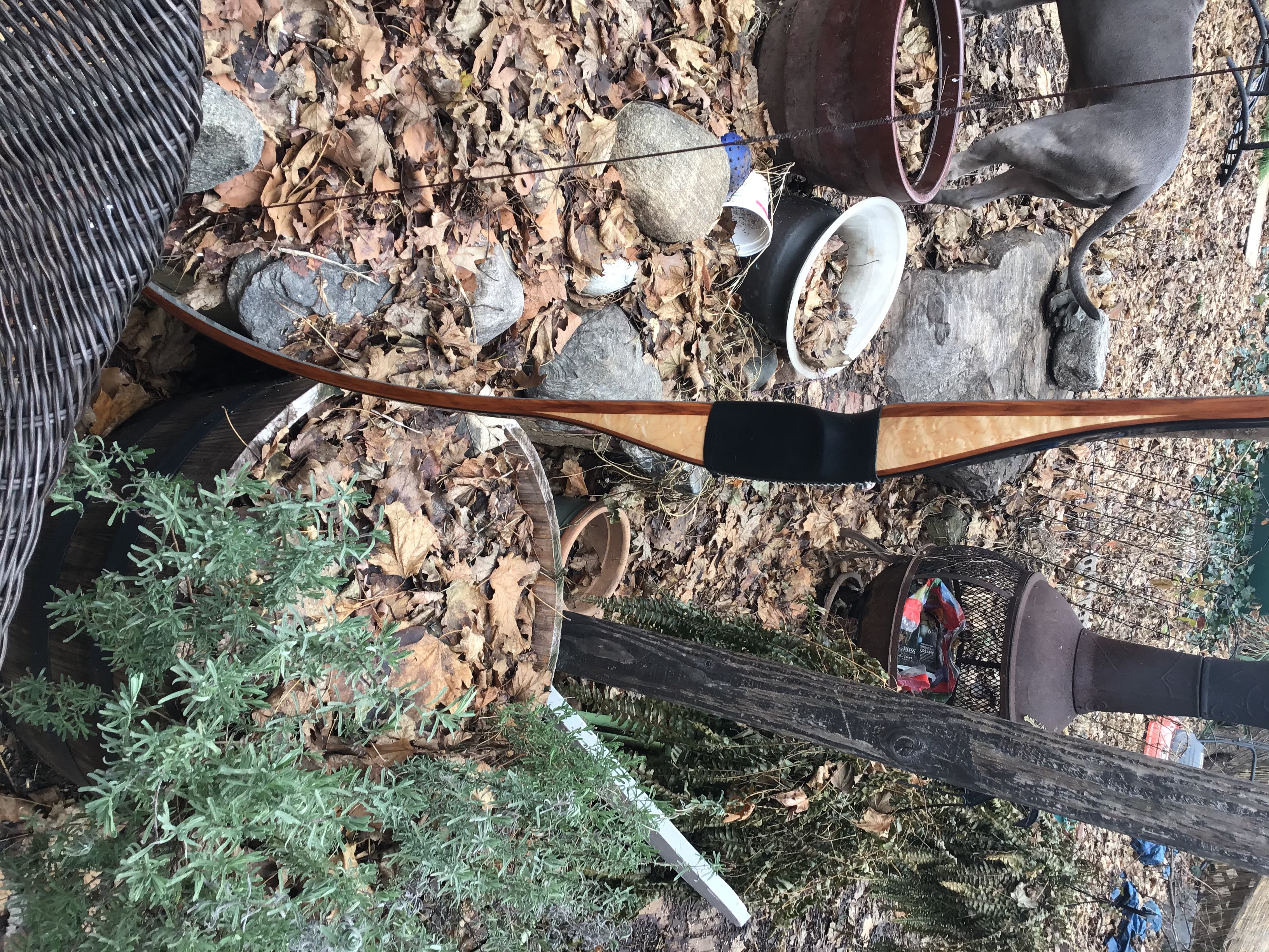 Northern Mist ramer 66inch 57@27 Birdseye maple riseryew core Black glass back gray glass belly red tip wedges RW grip like new condition content media