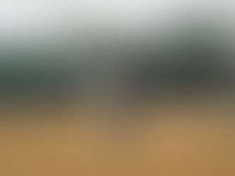 Fan-Favorite Tacitus Looks For Redemption in Saudi Cup