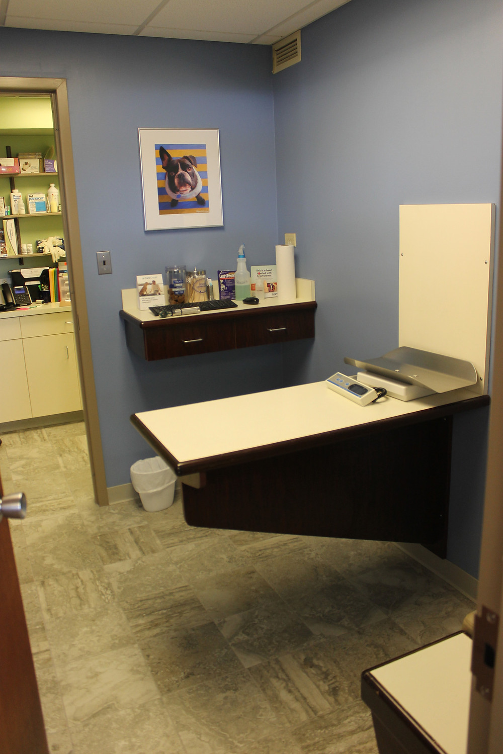 Veterinary exam room
