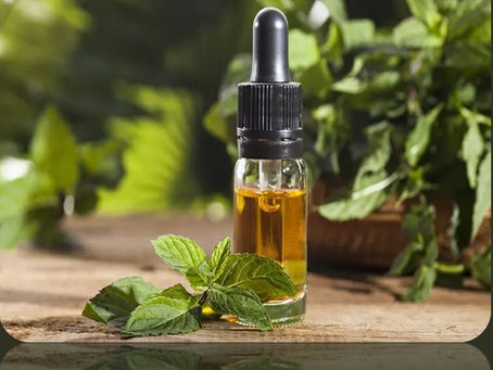 Óleo essencial de Hortelã